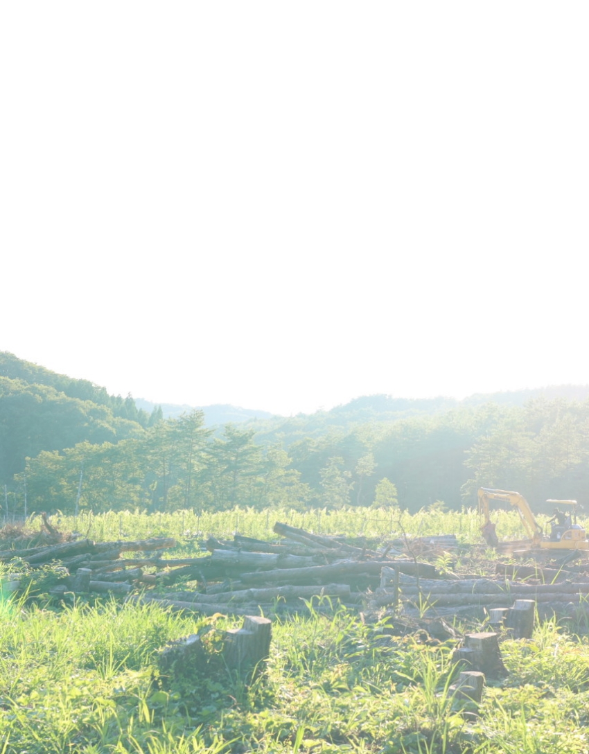 CHATEAU KNOT – シャトーノット –