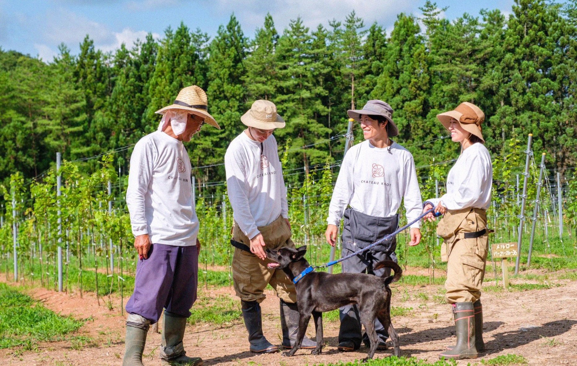 CHATEAU KNOT – シャトーノット –